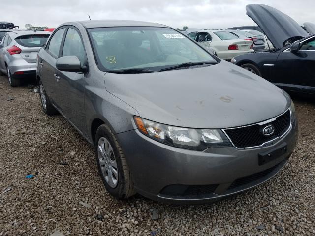 KIA FORTE EX 2010 knafu4a22a5307922