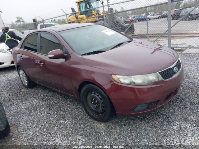 KIA FORTE 2010 knafu4a22a5309248