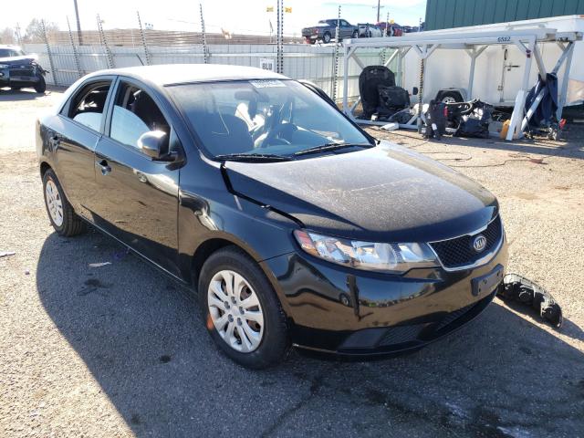 KIA FORTE EX 2010 knafu4a22a5807448