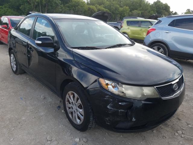 KIA FORTE EX 2010 knafu4a22a5808051