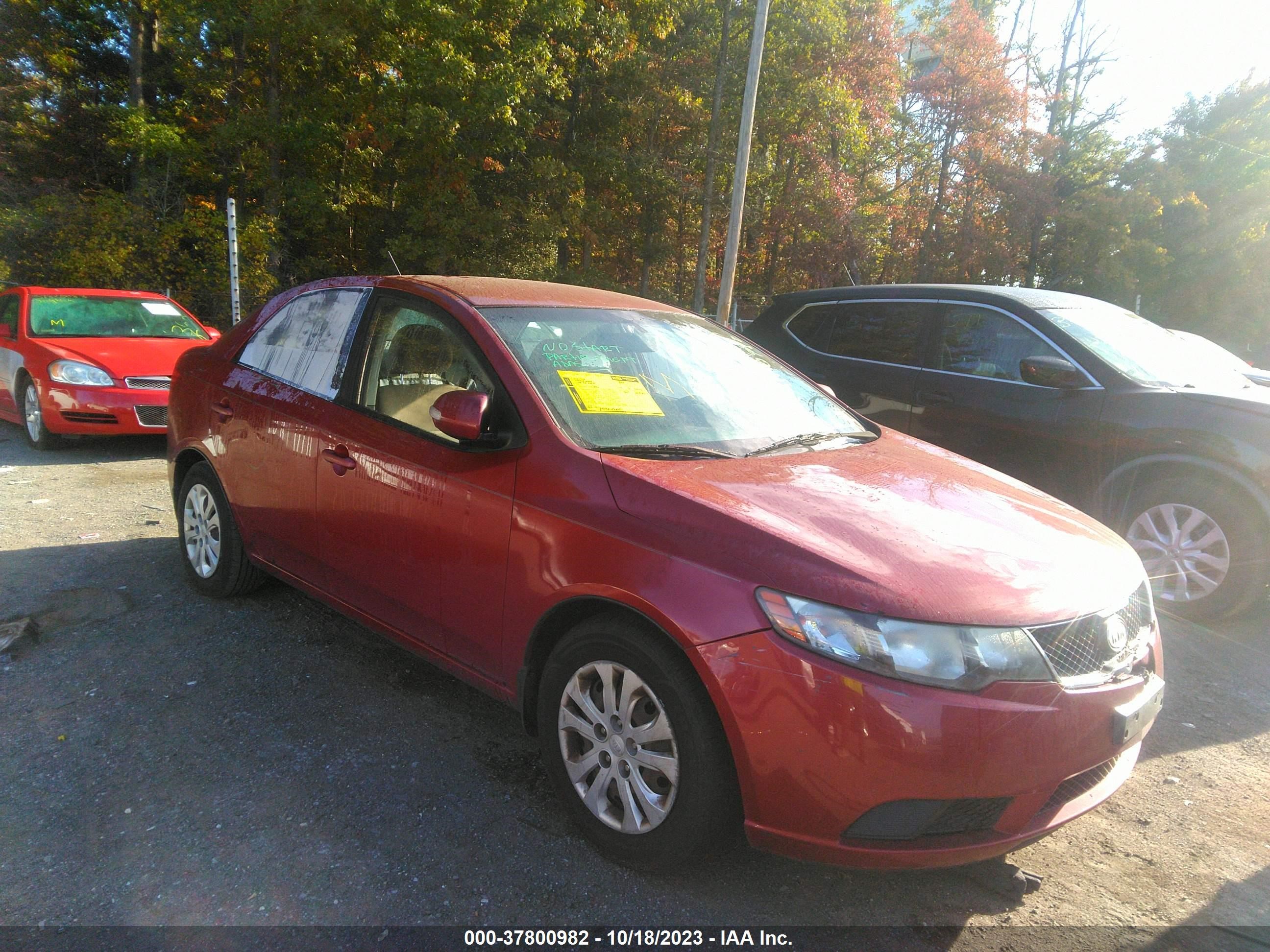 KIA FORTE 2010 knafu4a22a5815517