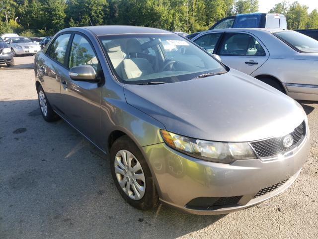 KIA FORTE EX 2010 knafu4a22a5818112