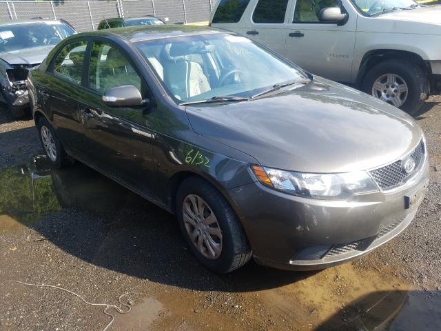 KIA FORTE EX 2010 knafu4a22a5819860