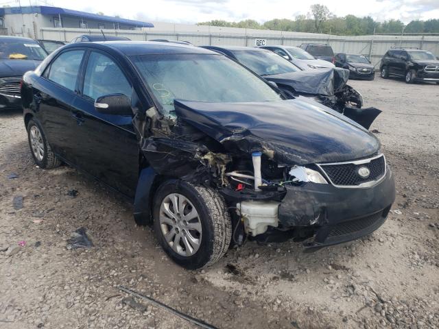 KIA FORTE EX 2010 knafu4a22a5822421