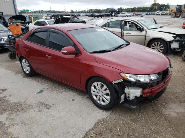 KIA FORTE EX 2010 knafu4a22a5824072