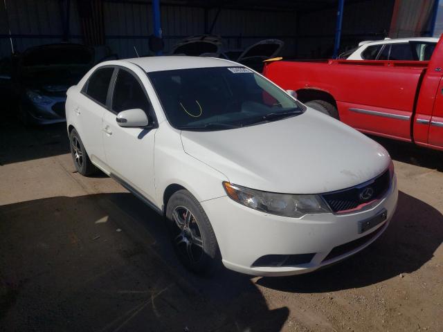 KIA FORTE EX 2010 knafu4a22a5834696