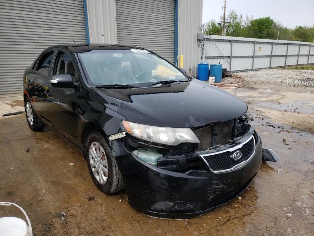 KIA FORTE EX 2010 knafu4a22a5835394