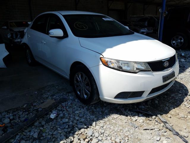 KIA FORTE EX 2010 knafu4a22a5837663