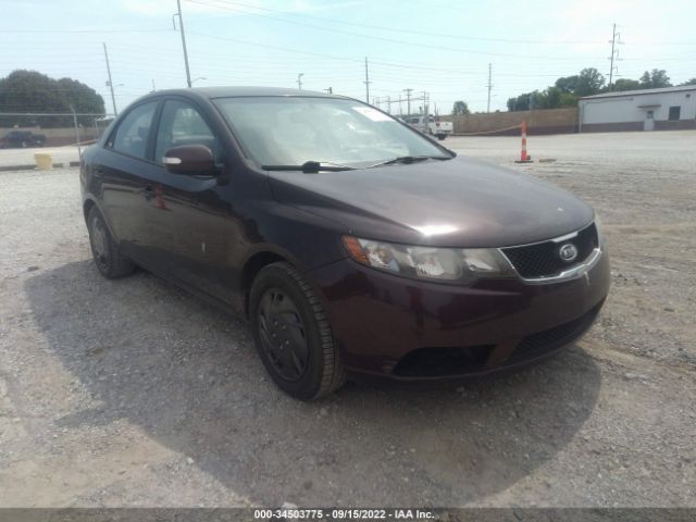 KIA FORTE 2010 knafu4a22a5839283