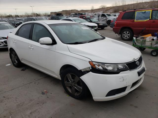 KIA FORTE EX 2010 knafu4a22a5849490