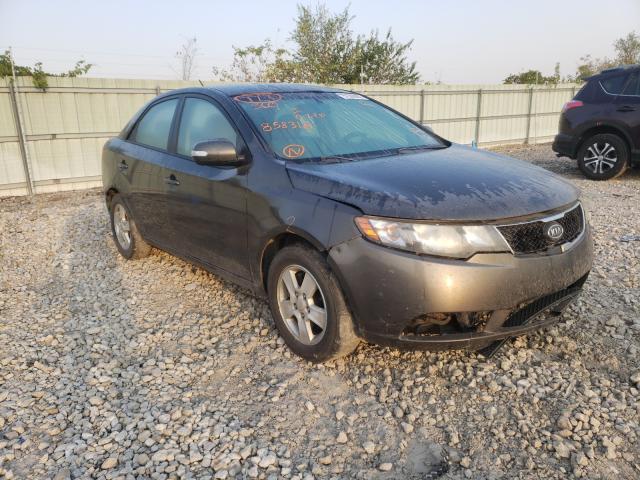 KIA FORTE EX 2010 knafu4a22a5858318