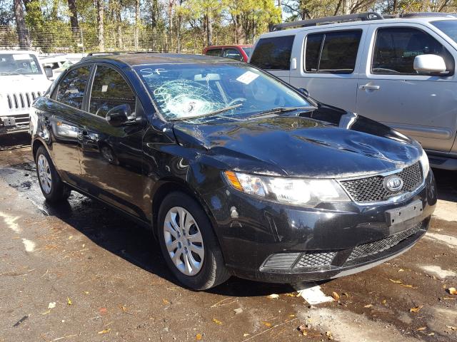 KIA FORTE EX 2010 knafu4a22a5864622