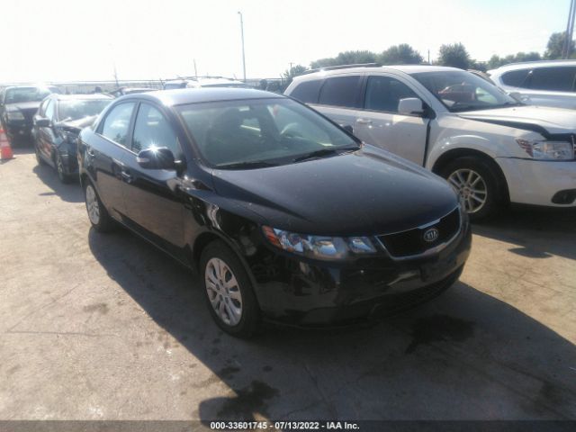 KIA FORTE 2010 knafu4a22a5875894