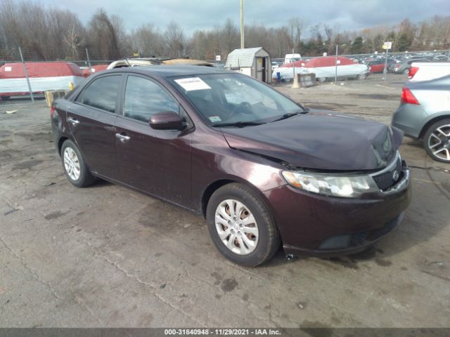 KIA FORTE 2011 knafu4a22b5358564