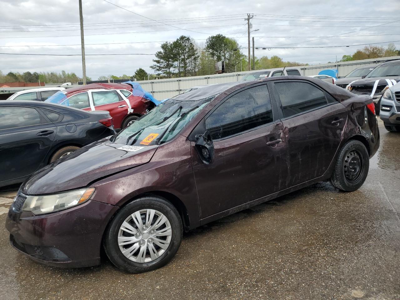 KIA FORTE 2011 knafu4a22b5360444