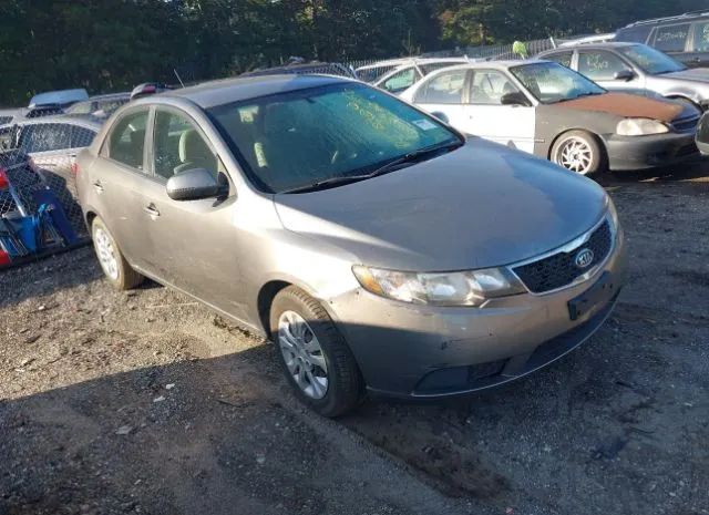 KIA FORTE 2011 knafu4a22b5364218