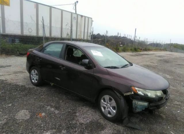 KIA FORTE 2011 knafu4a22b5365126