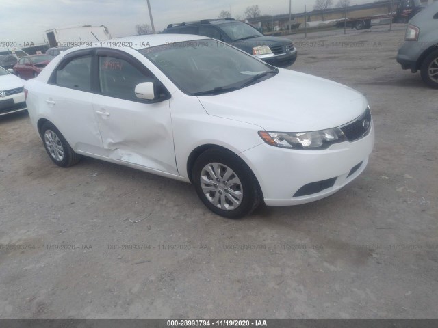 KIA FORTE 2011 knafu4a22b5366163