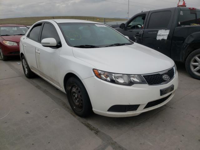 KIA FORTE EX 2011 knafu4a22b5391886