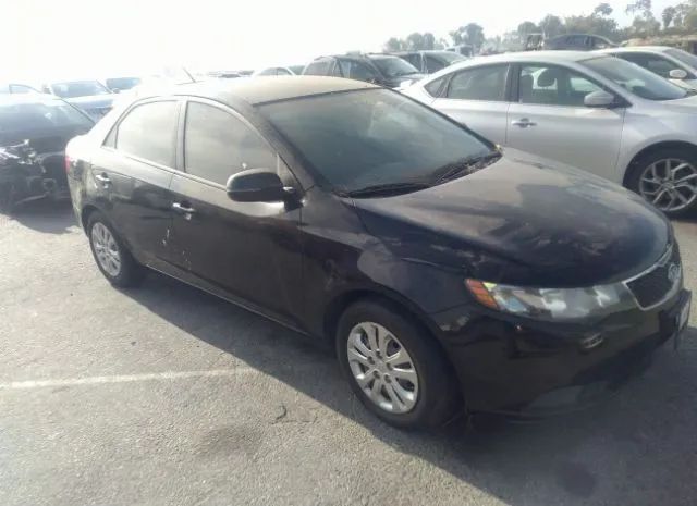 KIA FORTE 2011 knafu4a22b5394481