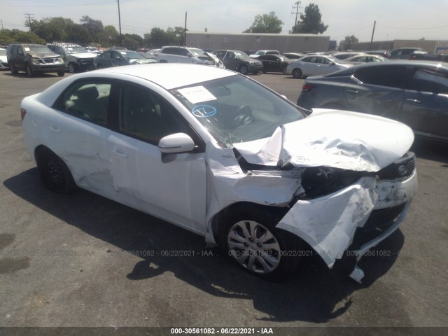 KIA FORTE 2011 knafu4a22b5402238