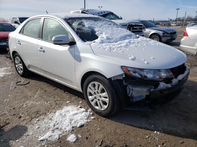 KIA FORTE EX 2011 knafu4a22b5440505