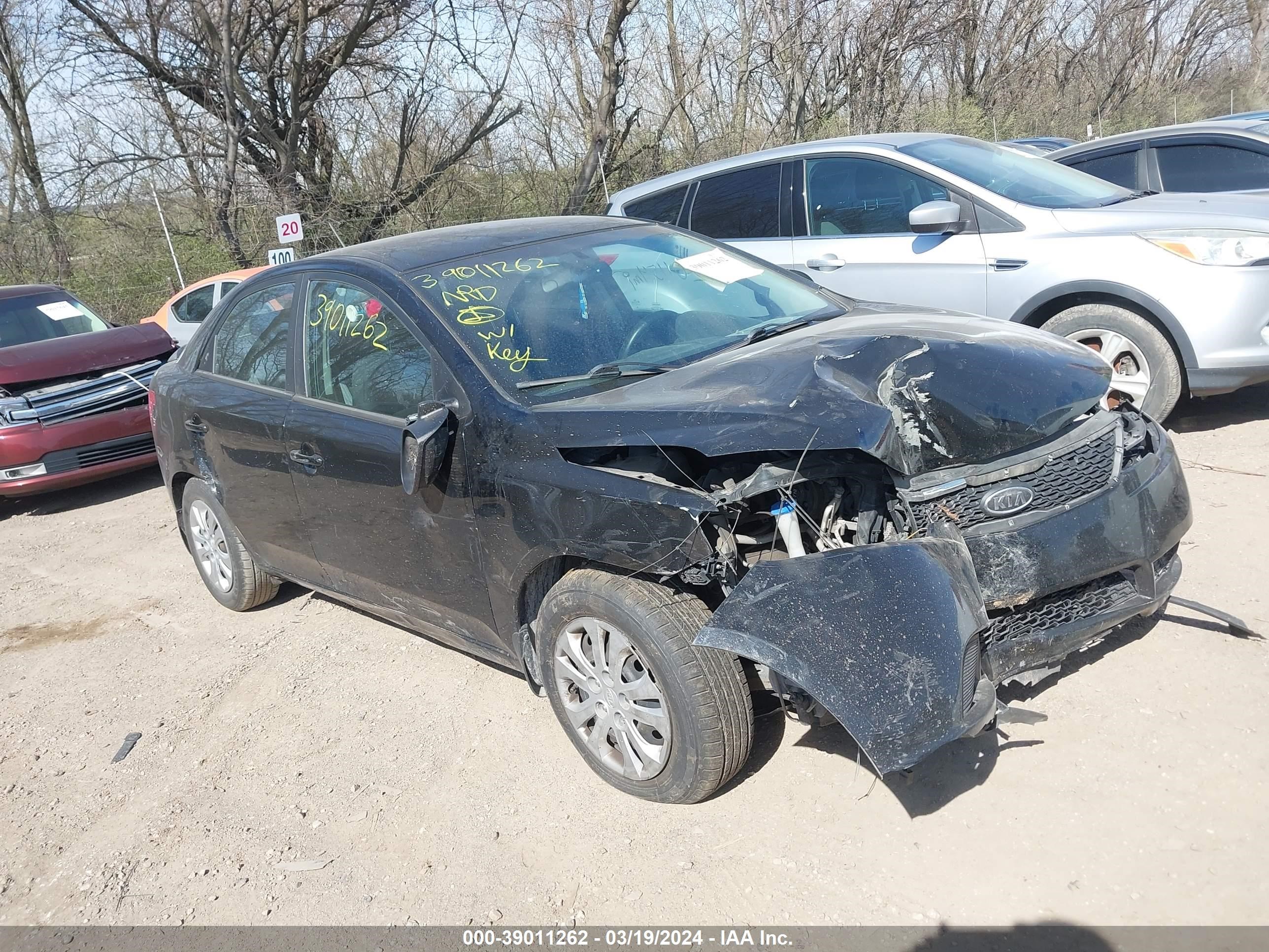 KIA FORTE 2011 knafu4a22b5459846