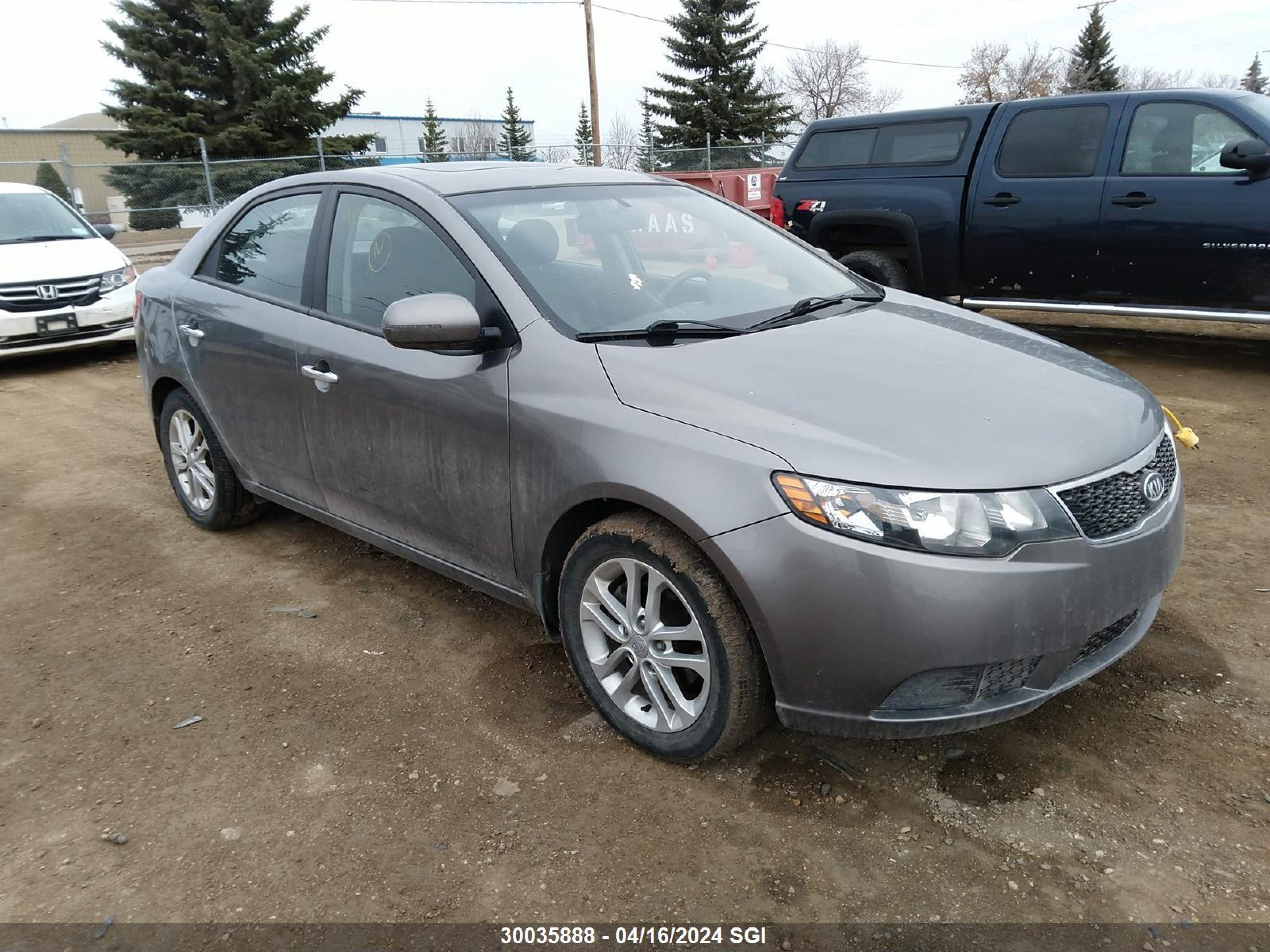 KIA FORTE 2011 knafu4a22b5465288