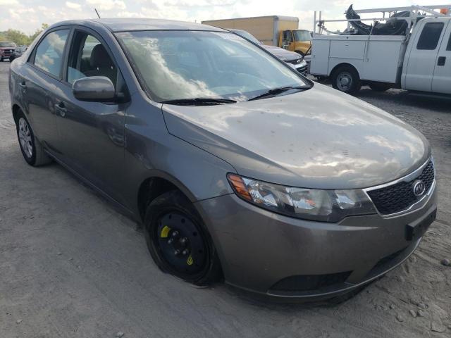 KIA FORTE 2011 knafu4a22b5466523