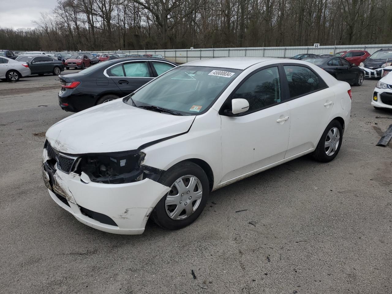 KIA FORTE 2012 knafu4a22c5498986