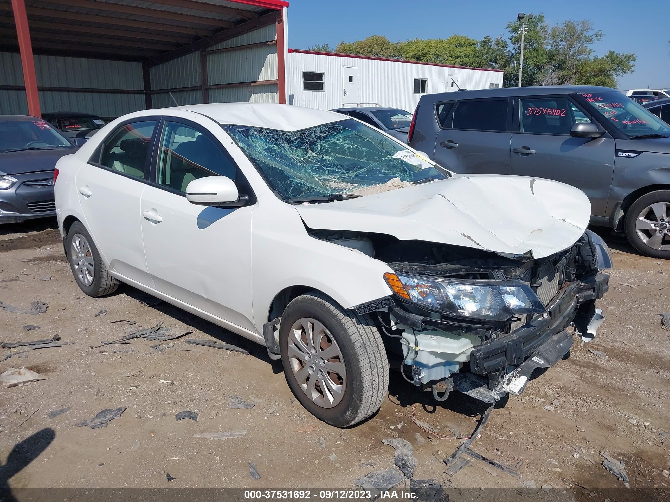 KIA FORTE 2012 knafu4a22c5506830