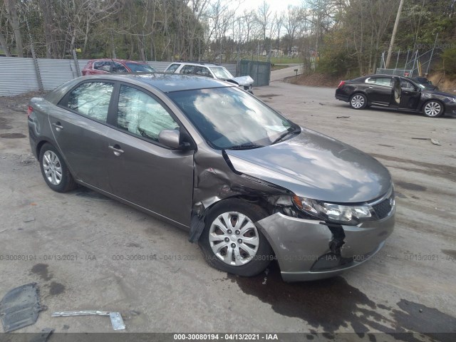 KIA FORTE 2012 knafu4a22c5508416