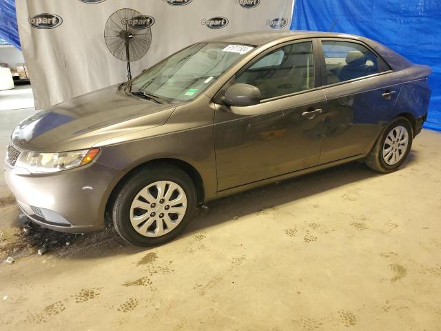 KIA FORTE 2012 knafu4a22c5508626