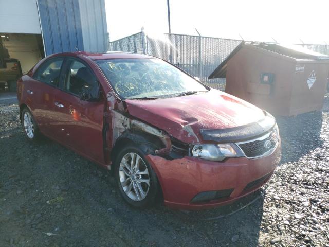 KIA FORTE EX 2012 knafu4a22c5527189