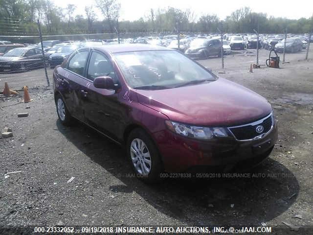 KIA FORTE 2012 knafu4a22c5585934