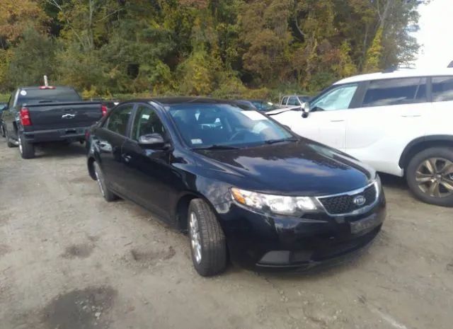 KIA FORTE 2012 knafu4a22c5604630