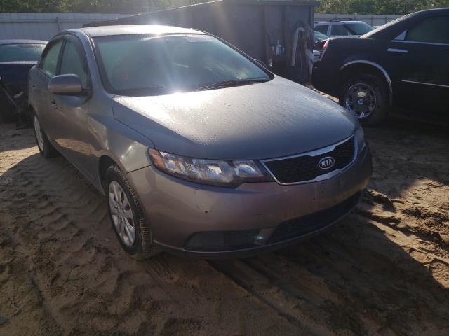 KIA FORTE EX 2012 knafu4a22c5626045