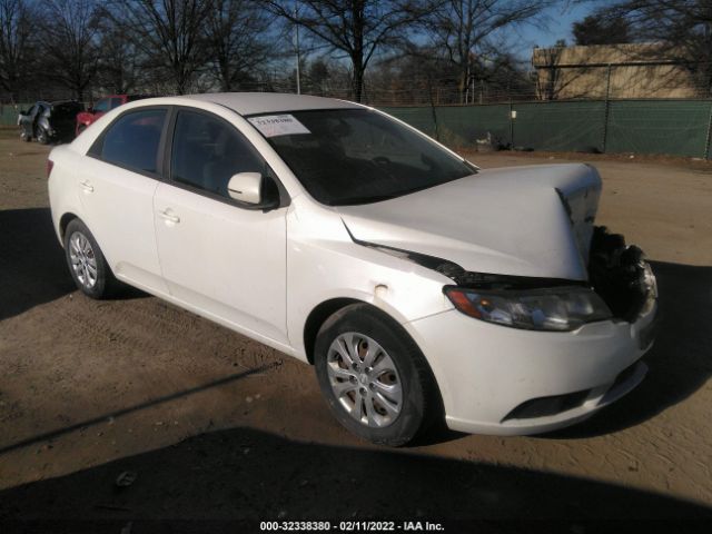 KIA FORTE 2012 knafu4a22c5633772