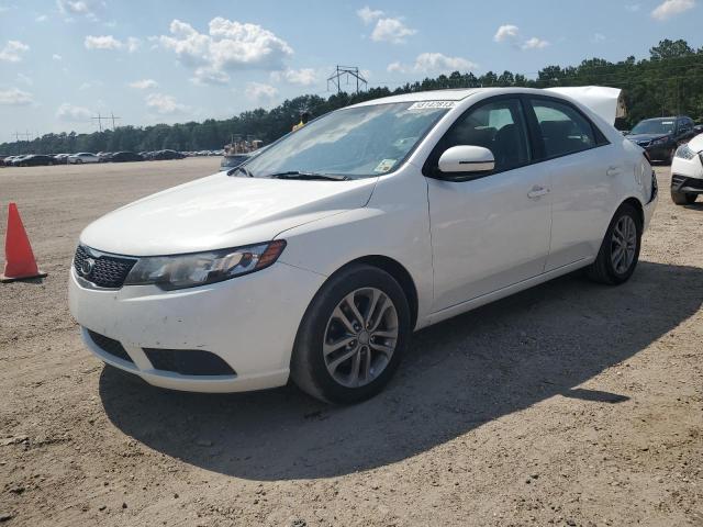 KIA FORTE 2012 knafu4a22c5634629