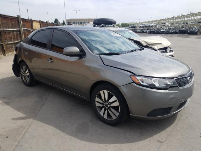 KIA FORTE EX 2013 knafu4a22d5654767