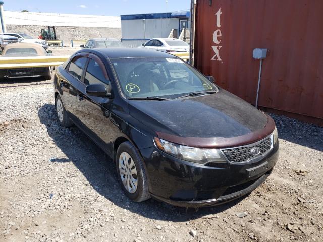 KIA FORTE EX 2013 knafu4a22d5671309