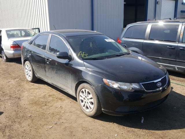 KIA FORTE EX 2013 knafu4a22d5684819