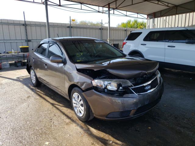 KIA FORTE EX 2013 knafu4a22d5686392