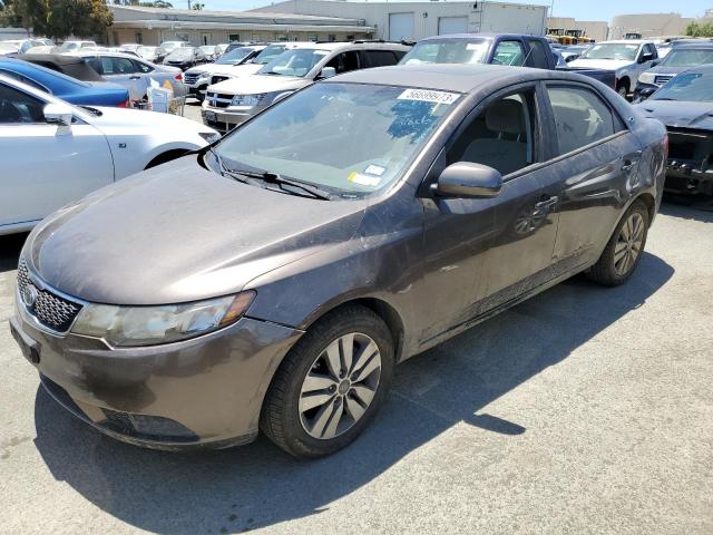 KIA FORTE EX 2013 knafu4a22d5692581