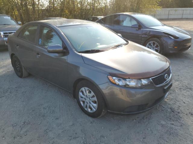 KIA FORTE EX 2013 knafu4a22d5698154