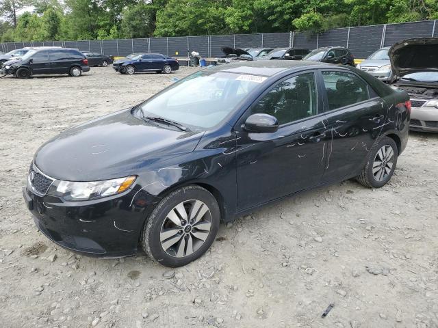 KIA FORTE EX 2013 knafu4a22d5710206