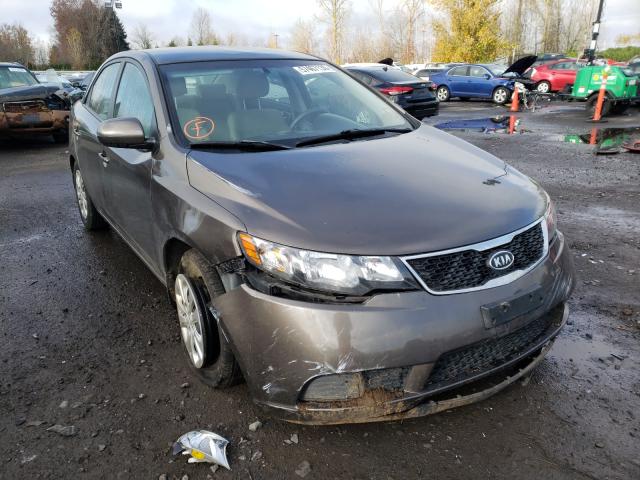 KIA FORTE EX 2013 knafu4a22d5724770