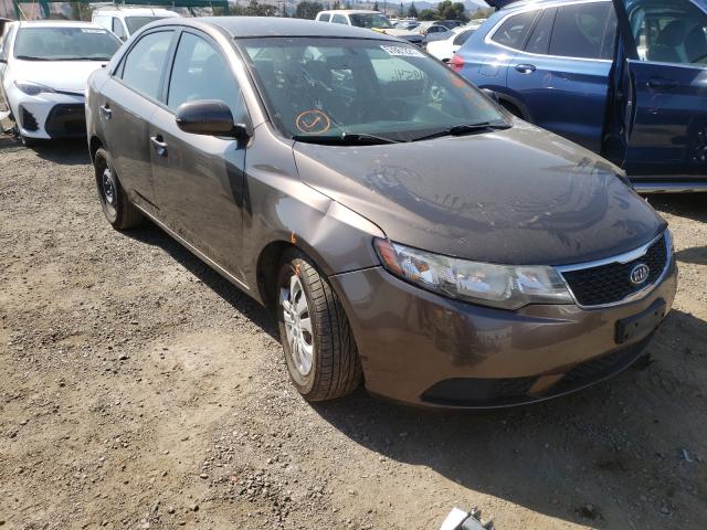 KIA FORTE EX 2013 knafu4a22d5731976