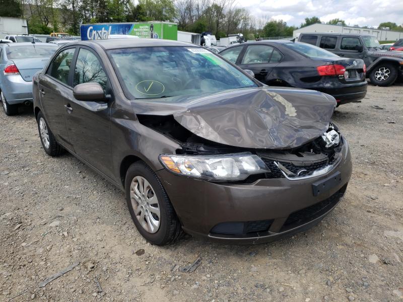 KIA FORTE EX 2013 knafu4a22d5734859