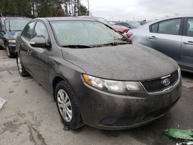 KIA FORTE EX 2010 knafu4a23a5053511